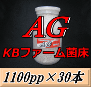 送料無料！AG （オオヒラタケ） 菌床 1100pp×30本　KBファーム製