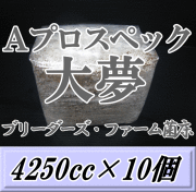 送料無料！大夢 Aプロスペック　カンタケ 菌床 ブロック 4250cc×10個　ブリーダーズ・ファーム製