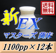 送料無料！マスターズ新EX オオヒラタケ 菌床 広口1100pp×12本