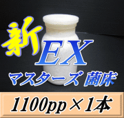 マスターズ新EX オオヒラタケ 菌床 広口1100pp×1本