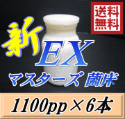 送料無料！マスターズ新EX オオヒラタケ 菌床 広口1100pp×6本