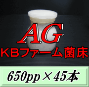 送料無料！AG （オオヒラタケ） 菌床 650pp×45本　KBファーム製