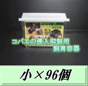 特選SALE！通常51,380円→43,670円◆送料無料！コバエの侵入抑制用飼育容器 小 96個