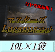 マスターズLucanusマット 10L×1袋