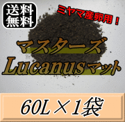 送料無料！マスターズLucanusマット 60L×1袋