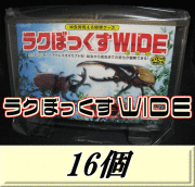 送料無料！見える観察ケース ラクぼっくす WIDE ワイド （ヘラクレスオオカブト用)　16個
