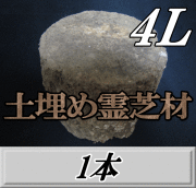 土埋め霊芝材（レイシ材） 4L（直径 165mm前後）　1本