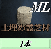 Ｌサイズ × ５本 クヌギ 土埋め レイシ (霊芝) 産卵材 柔らか仕上げ！ NEW☆土埋めレイシ産卵材