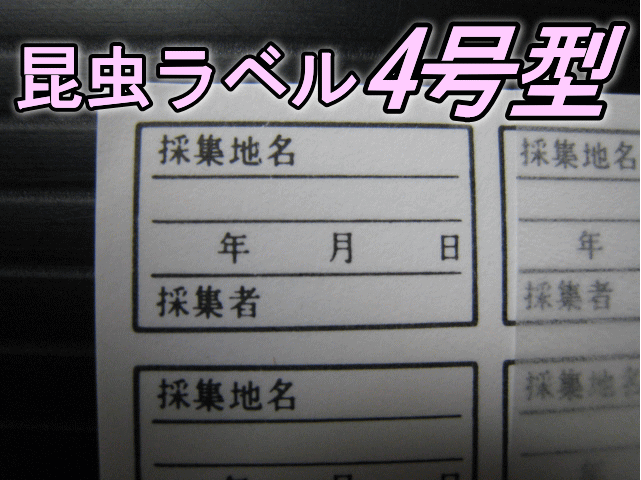 昆虫ラベル4号型　1束（9面×30枚＝270枚分）