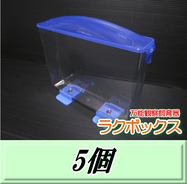 送料無料！見える観察ケース ラクぼっくす （国産カブトムシ用）　5個