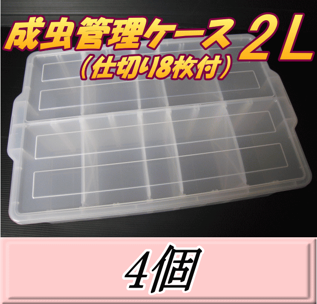 送料無料！成虫管理ケース　2L （仕切り8枚付）　 4個