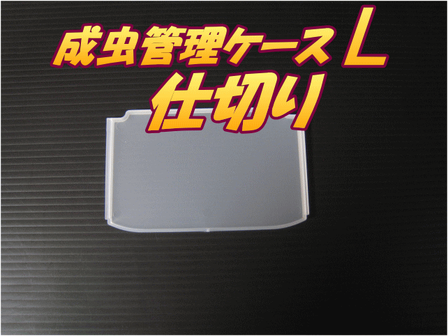 成虫管理ケース　L　仕切り　1枚