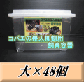 特選SALE！通常64,930円→55,190円◆送料無料！コバエの侵入抑制用飼育容器 大 48個