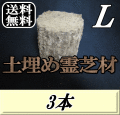 送料無料！土埋め霊芝材（レイシ材） L（直径 120mm前後）　3本