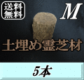 送料無料！土埋め霊芝材（レイシ材） M（直径 90mm前後）　5本