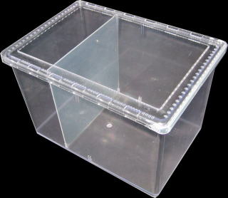 送料無料！スライド式飼育容器 クリアースライダー ラージ （セパレータ付） 30個