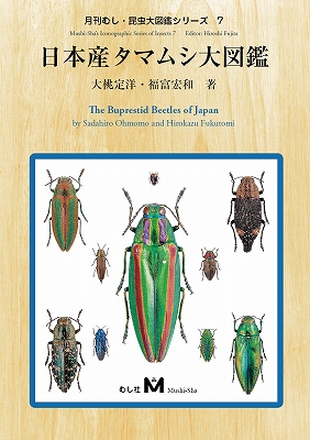 ポイント10倍＆送料無料！日本産タマムシ大図鑑　（有）むし社
