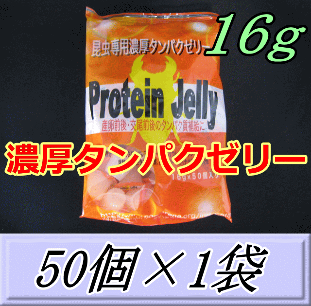 特選SALE！通常790円→640円◆濃厚タンパクゼリー 16ｇ　50個入×1袋　プロテインゼリー　ブリーダーズ・ファーム製