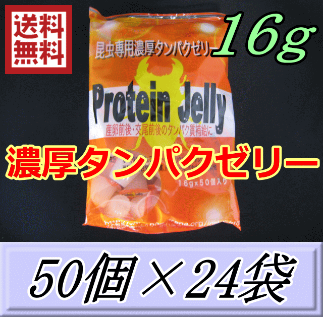 特選SALE！通常17,760円→13,920円◆送料無料！濃厚タンパクゼリー 16ｇ　50個入×24袋　プロテインゼリー　ブリーダーズ・ファーム製