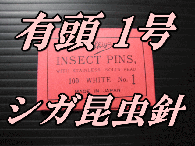 有頭シガ昆虫針　1号　標本針（最上質ステンレス製）　1包（100本入）