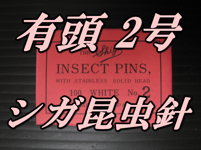 有頭シガ昆虫針　2号　標本針（最上質ステンレス製）　1包（100本入）