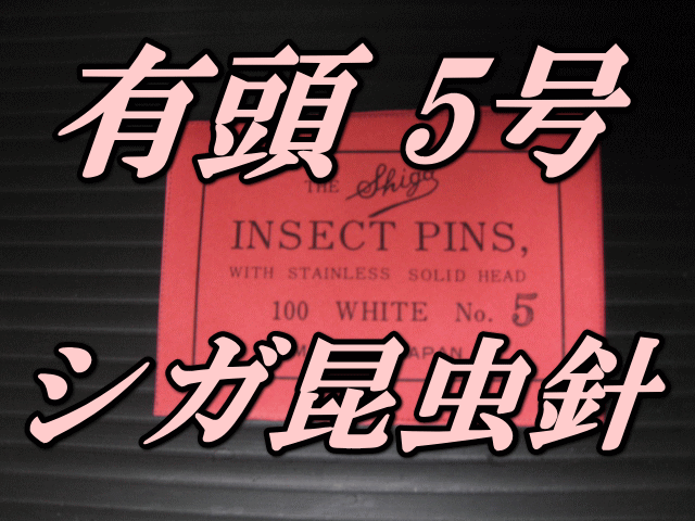 有頭シガ昆虫針　5号　標本針（最上質ステンレス製）　1包（100本入）