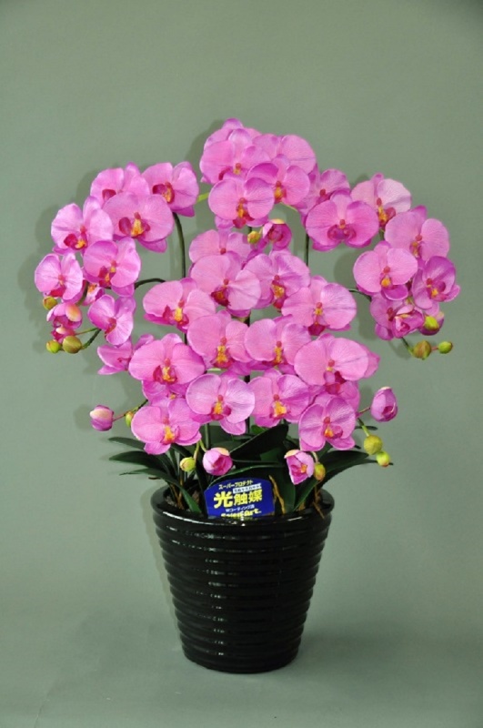 送料無料 光触媒 アートフラワー 胡蝶蘭 ピンク Mサイズ ５本立 陶器鉢入