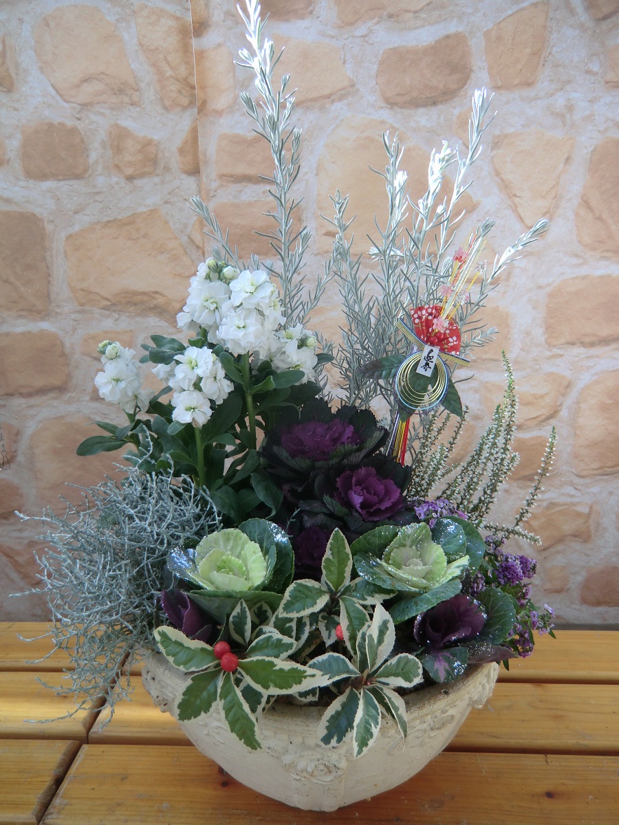 葉牡丹寄せ植え テラコッタ