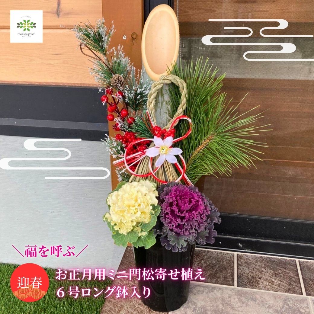 2026 福を呼ぶ 迎春 お正月用ミニ門松 寄せ植え6号 ロング鉢入