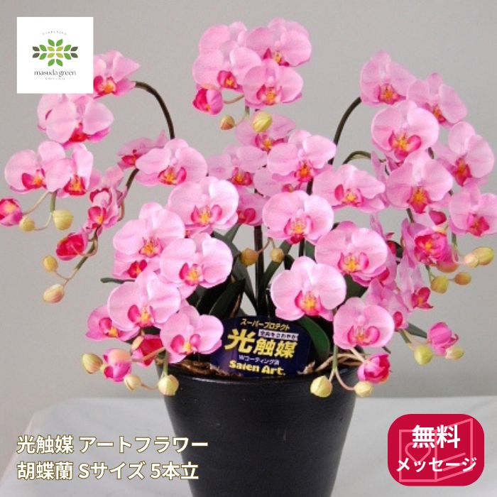 光触媒胡蝶蘭Sサイズピンク
