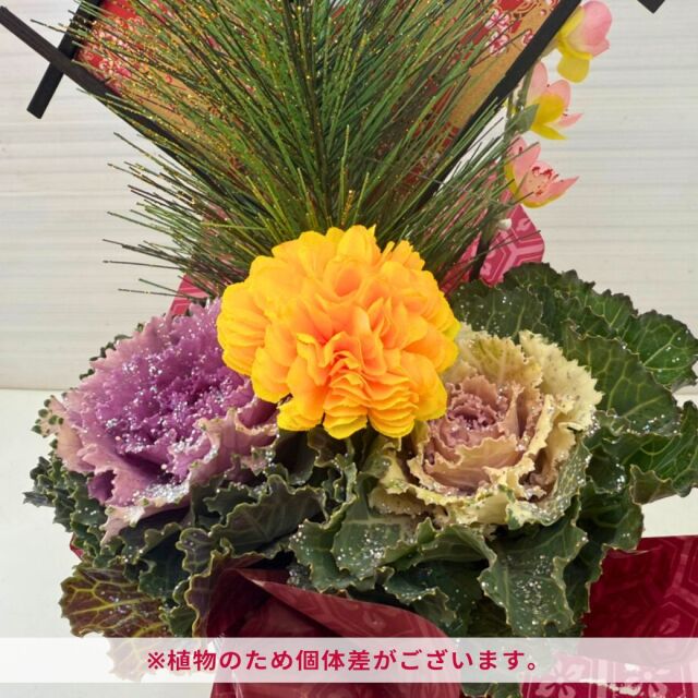 迎春バスケット《令和》2026
