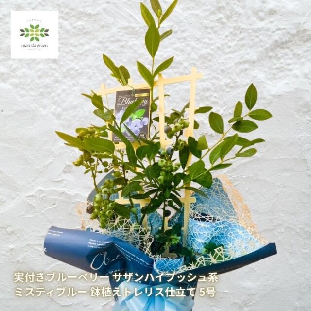花苗・野菜苗｜静岡【マスダグリーン】母の日や誕生日等にお花のプレゼント