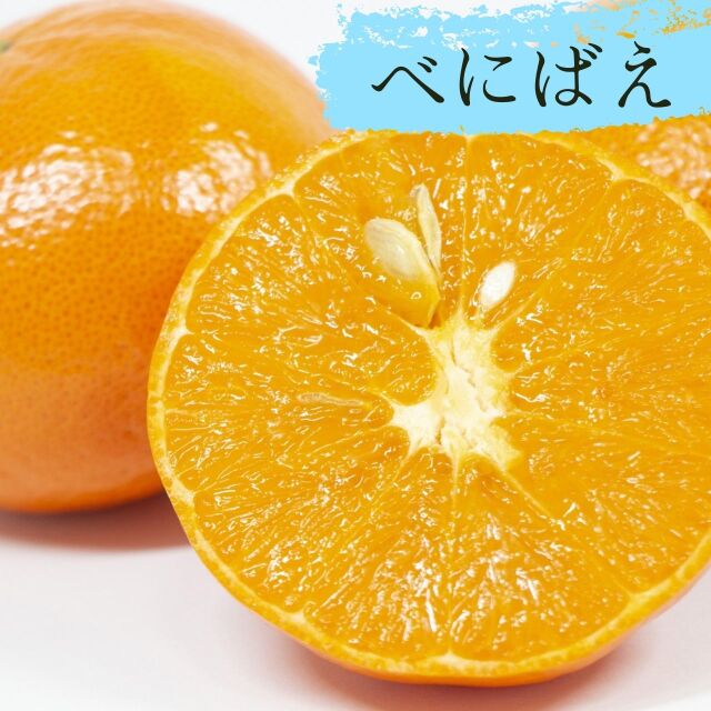べにばえ