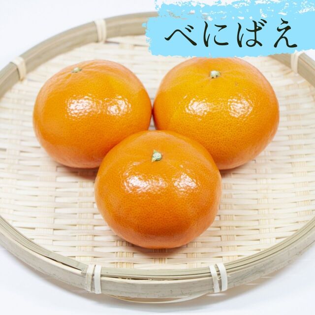 べにばえ