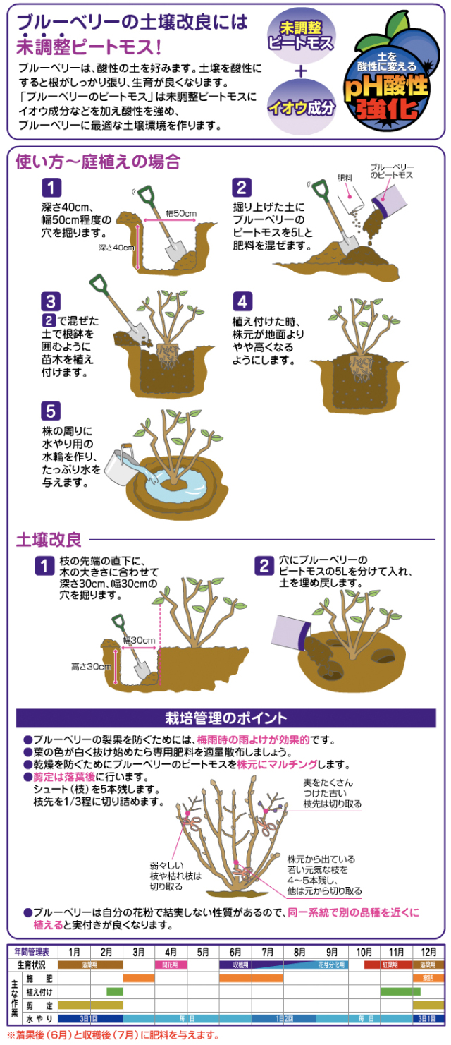 ブルーベリーのピートモス 説明