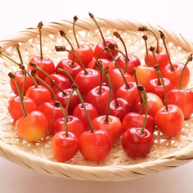 さくらんぼ 苗木 佐藤錦