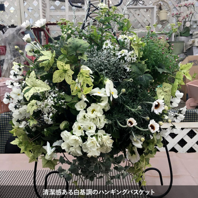 ハンギングバスケット定期便