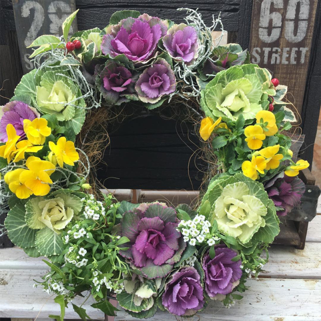 冬季限定] 葉牡丹ハンギングリース 寄せ植え