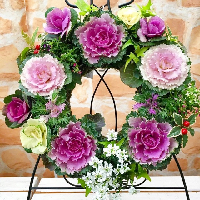 冬季限定] 葉牡丹ハンギングリース 寄せ植え