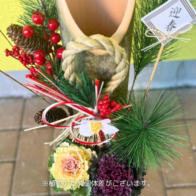 ミニ門松 寄せ植え6号 ロング鉢入