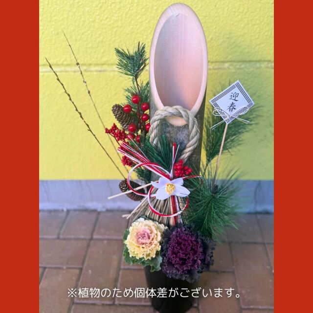 ミニ門松 寄せ植え6号 ロング鉢入