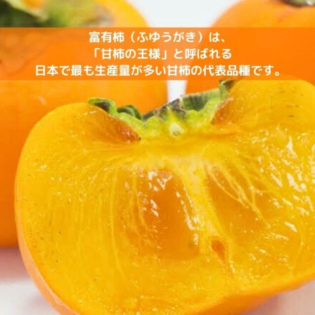 柿苗木富有柿