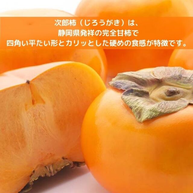 柿 苗木 次郎柿 4.5号 ロングポット