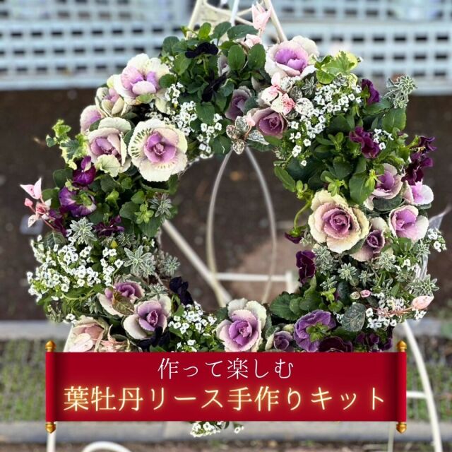 葉牡丹リースキット