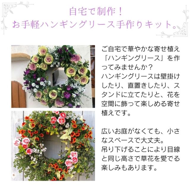 葉牡丹リースキット説明01