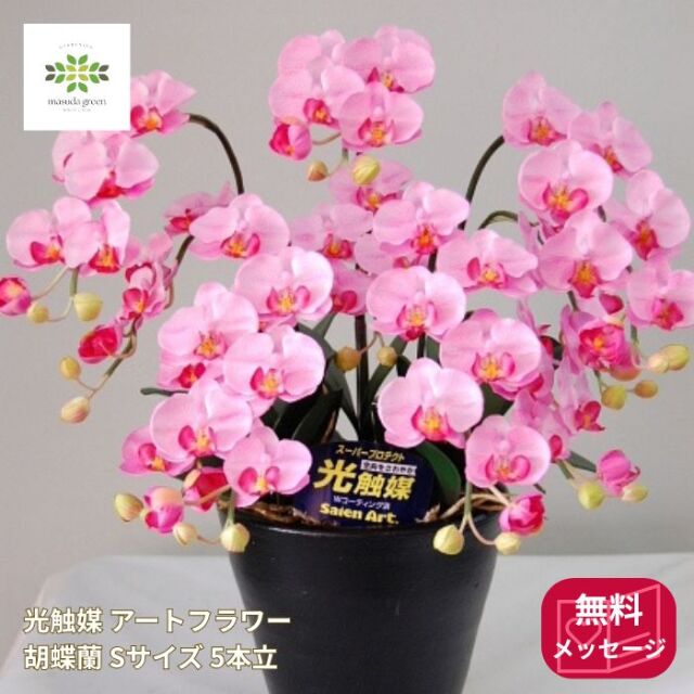 光触媒 アートフラワー 胡蝶蘭 ピンク Sサイズ 5本立 陶器鉢入