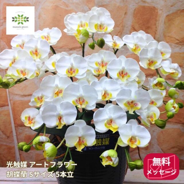 光触媒 アートフラワー 胡蝶蘭 白 Sサイズ 5本立 陶器鉢入
