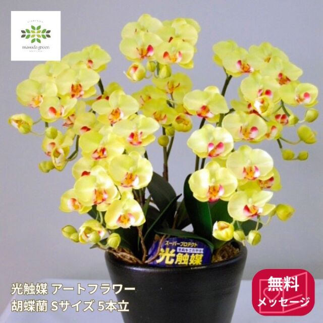 光触媒 アートフラワー 胡蝶蘭 黄色 Sサイズ 5本立 陶器鉢入