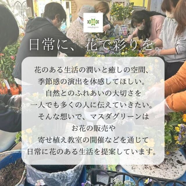 マスダグリーンのこだわり03