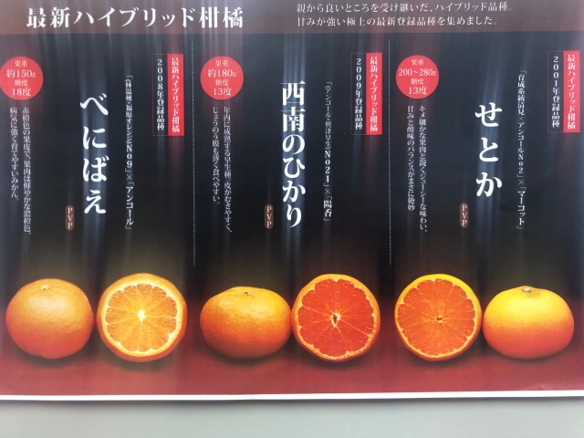 柑橘３種
